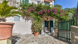 Un patio empedrado con una planta en maceta, un pequeño árbol y una verja verde.