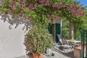 Une terrasse avec une table et des chaises, un pot de fleurs et un bâtiment doté d’une porte et de volets.