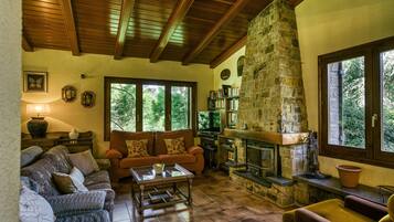 TV, fireplace, ping pong