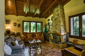 TV, fireplace, table tennis