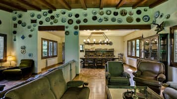 TV, fireplace, ping pong