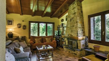 TV, fireplace, table tennis