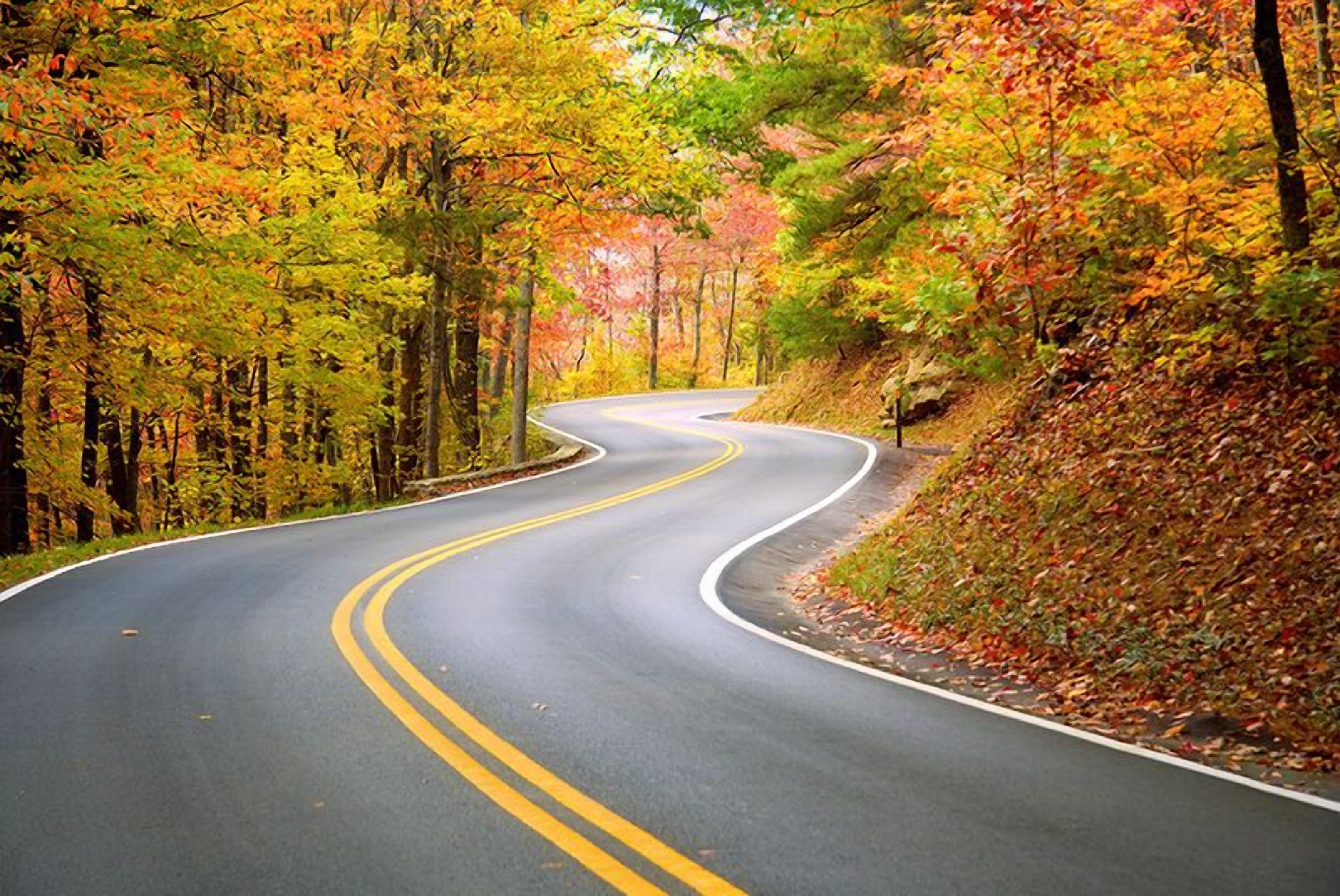 A winding road through a forest with autumn foliage.
