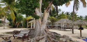 Property grounds - Ô Soleil Créole - Beautiful apartment near the beach (Saint-François)