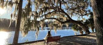Loft Studio Apartment