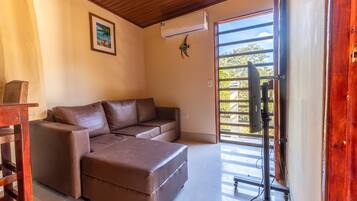 Smart TV, books, stereo