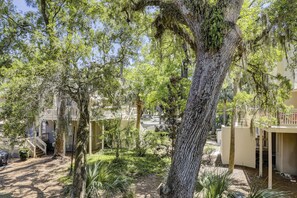 Escape to a serene garden oasis with mature trees and a tranquil atmosphere.