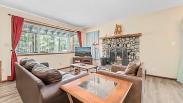 Televisión, chimenea, reproductor de DVD y libros