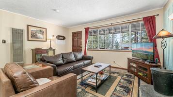 Televisión, chimenea, reproductor de DVD y libros