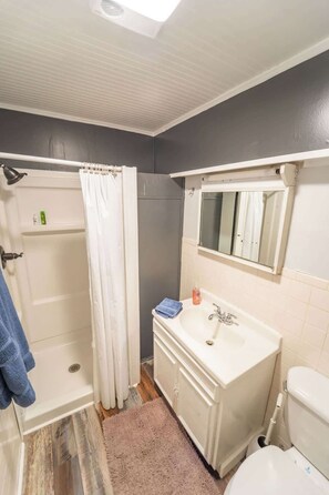 Shower, hair dryer
