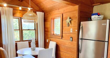 The Back House: Quaint two bedroom Ocracoke Island cottage