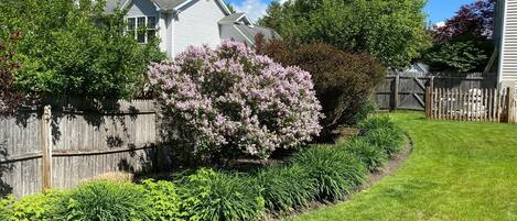 Enceinte de l’hébergement
