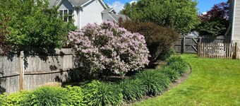 Saratoga Retreat with Heated Saltwater Pool