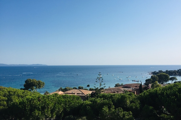 Vue sur la plage/l’océan