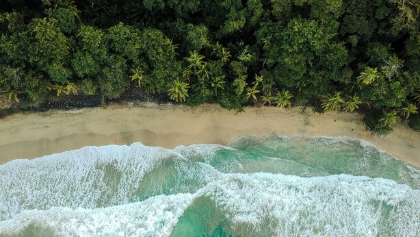 An aerial view of a beach with clear turquoise waters and a dense forest of palm trees.