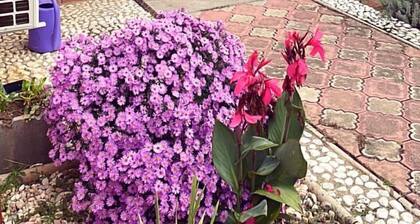 Nyugodt mégis város központi vendéház! Balatontól 6km-re.