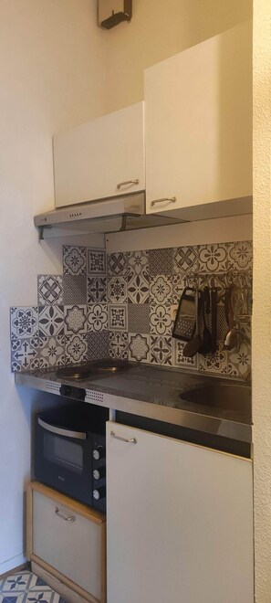 Fridge, microwave, oven, stovetop - Renovated 4-person studio with lake view Artouste Fabrège (Laruns)