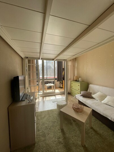 Renovated 4-person studio with lake view Artouste Fabrège