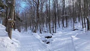 A snow-covered trail in a forest with a sign indicating the Jasper Trail. - Cozy, peaceful "camp" in Hollywood Hills, just north of the town of Old Forge (Old Forge)