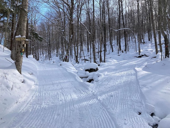 A snow-covered trail in a forest with a sign indicating the Jasper Trail. - Cozy, peaceful "camp" in Hollywood Hills, just north of the town of Old Forge (Old Forge)