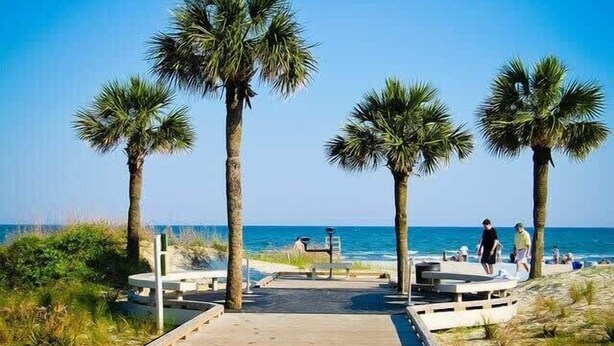 Un sendero bordeando la playa, con palmeras y bancos que conducen al océano.
