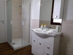 Shower, hair dryer, bidet, towels