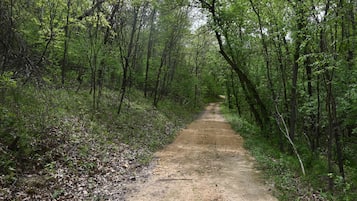 Área da propriedade