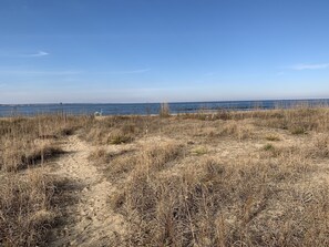 Nära stranden