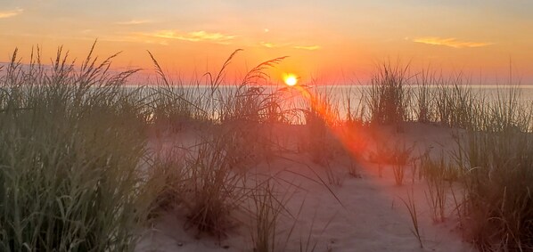 Unclassified image, 1 of 22, button