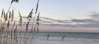 Adorable private studio-style guesthouse! 15 min from beaches!
