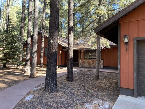 Relaxing mountain home with space for everyone, surrounded by whispering pines 