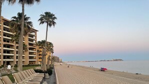 A beach with rows of sun loungers, palm trees, and a hotel building in the background. - Beachfront Lower Floor Luxury Condo (Puerto Peñasco)