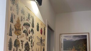 Una pared con una colección de ilustraciones botánicas y entomológicas, un cuadro de paisaje enmarcado y un pequeño objeto negro montado.