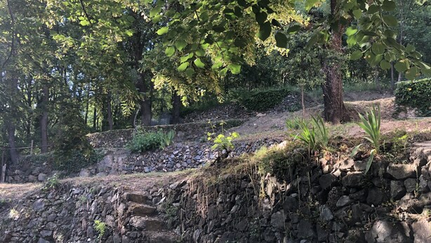 Un muro de piedra cubierto de vegetación, rodeado de árboles.