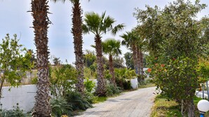 A gravel path flanked by palm trees and various shrubs, leading to a white building. - Lambisea 2 Bedroom Apartment (Kos)
