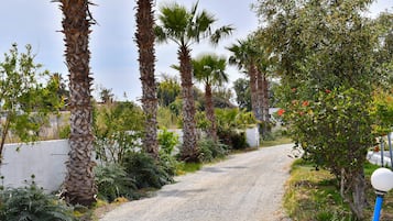 House | Property grounds