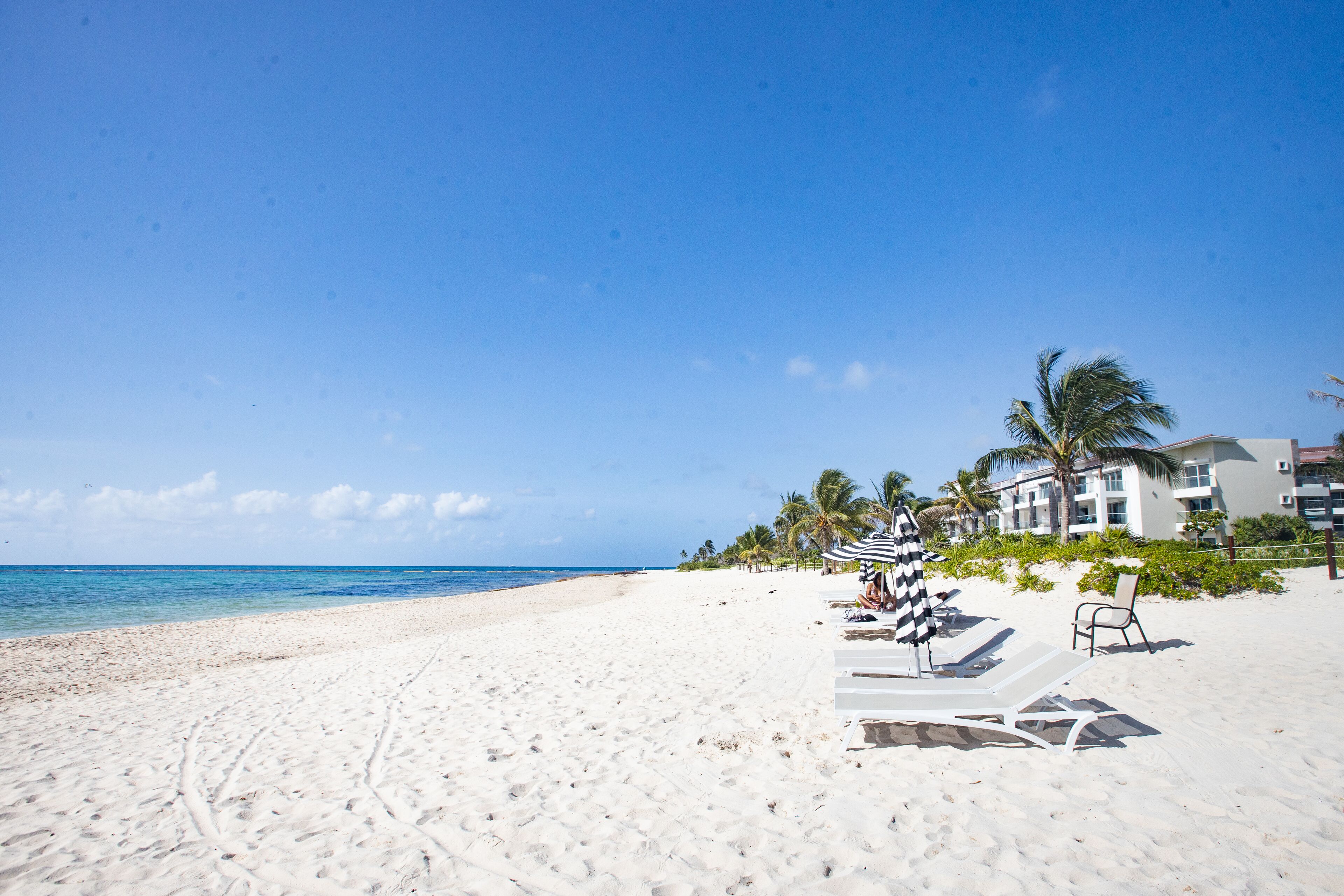 A beach with white sand, clear blue sky, and a few palm trees. There are lounge chairs and umbrellas along the shore.