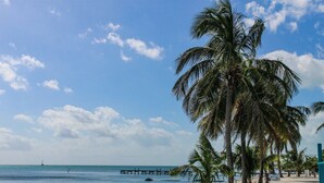 Een strand met palmbomen, een houten pier en een bord.