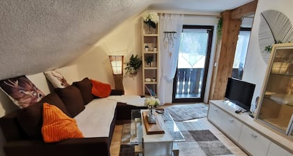 Holiday apartment Neuschönau for 1 - 6 persons with 3 bedrooms - Holiday apartment in one or multi-f