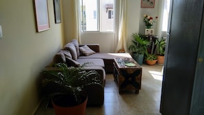 Uma sala de estar com um sofá, uma mesa de centro e plantas em vasos.