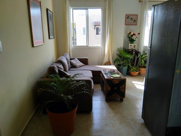 Un salon avec un canapé, une table basse et des plantes en pot.