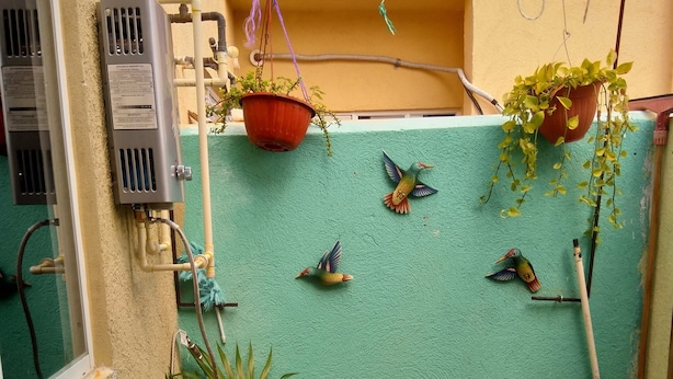 Um pequeno espaço ao ar livre cercado, com parede verde, vários vasos de plantas, uma mangueira e uma vassoura.