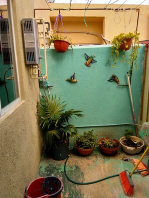 Un petit espace extérieur clos, agrémenté d’un mur végétal, de plusieurs plantes en pot, d’un tuyau d’arrosage et d’un balai.