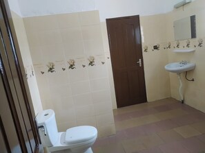 Shower, towels, toilet paper