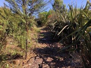 Área da propriedade