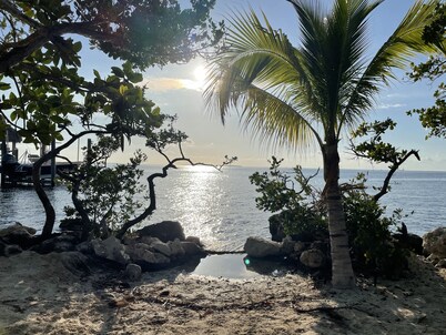 Bay view villa in Islamorada, palm trees, shade trees and two private porches 