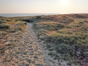Playa en los alrededores 