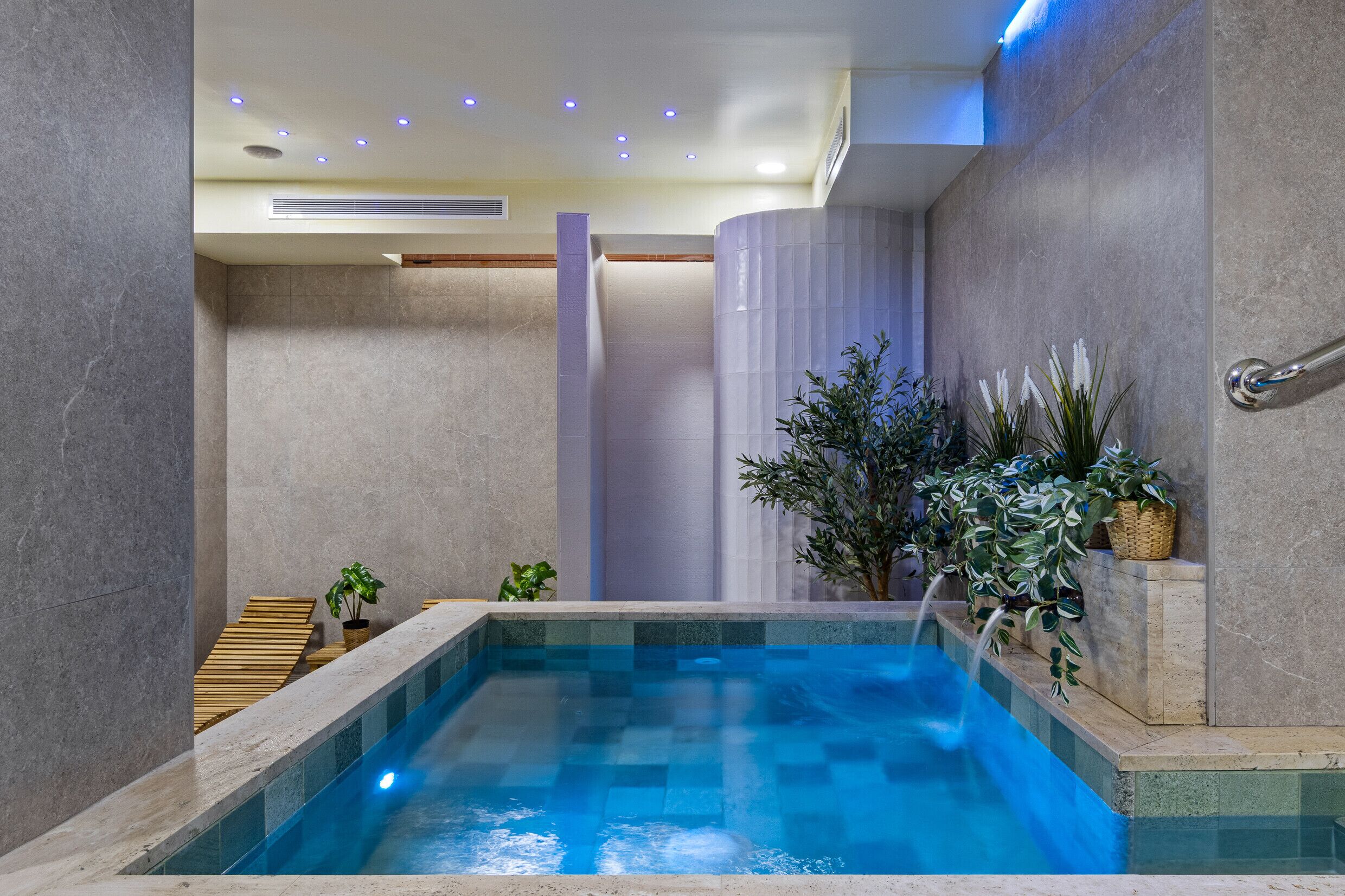 Wellness