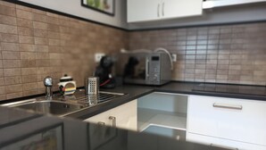 A modern kitchen with a stainless steel sink, a kettle, and a toaster. - Casa de invitados adaptada. (Santa cristina d'Aro)