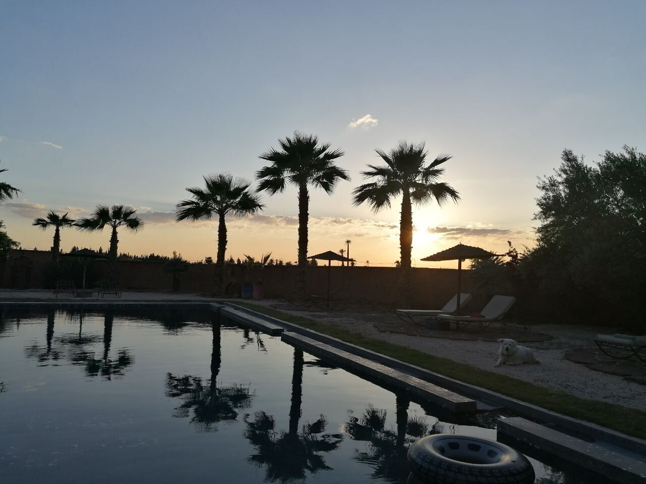 Alberca techada y alberca al aire libre